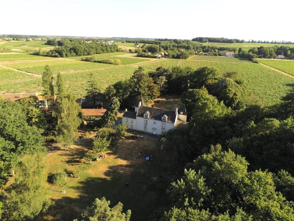 Du Vignoble A L'Atlantique - Chateau Cassemichere Gite La Chapelle-Heulin Exterior foto